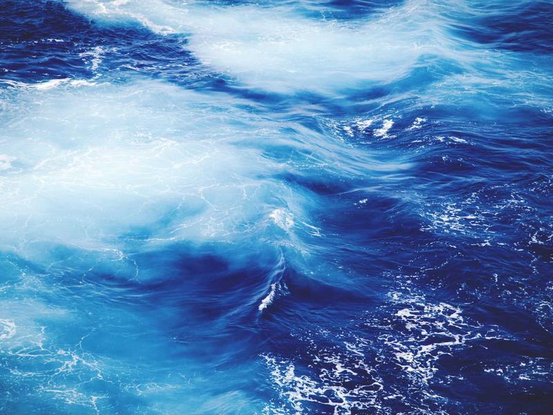 sudoku pro version screenshot 2